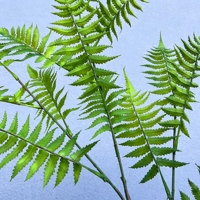 Branche de fougère artificielle, 13 feuilles, vert foncé, tige de plante artificielle, accessoire de photographie pour toile de fond de mariage, décoration intérieure et extérieure