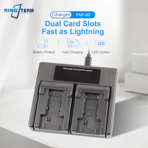 Batería de Polímero de Litio de Alta Calidad DMW-BLG10 RingTeam de 7.2V para Teléfono Móvil, Cargador USB Portátil Rápido DMW-BLG10BLG10PP - Product Image 2