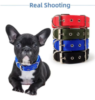 Colliers pour animaux de compagnie en nylon réglables, simples, durables, bon marché, échantillon gratuit directement de l'usine