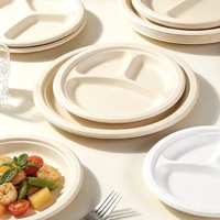 Barquette alimentaire biodégradable en amidon de maïs, plateau de service de qualité alimentaire pour pique-nique extérieur, assiette hygiénique