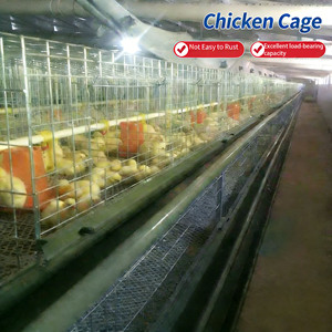 Cage d'élevage de poussins à 3/4 niveaux avec bande de fumier, pour poulets de la poussée à l'adulcoration, vente directe <span class=keywords><strong>usine</strong></span> - Product Image 3