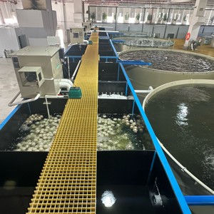 Filtro Rotatorio de Tambor Ras de 50m³ con Pantalla de 25 Micras, Filtro Mecánico para Estanques de Peces para Sistemas de Acuicultura, Cría de Tilapia - Product Image 5