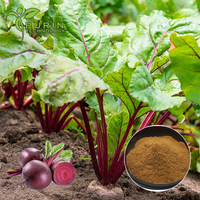 Extrait de racine de betterave sélectionné 10:1, qualité alimentaire, poudre de betterave vitaminée, CAS57917-55-2, emballage et capsules personnalisables