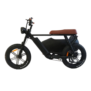 <span class=keywords><strong>Sidecar</strong></span> para Bicicleta Eléctrica de 3 Ruedas, de Aluminio, para Adultos, con Batería de Litio de 48V 15AH, Motor de Cubo Trasero de 750W sin Escobillas y Frenos de Disco - Product Image 2