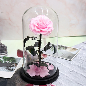<span class=keywords><strong>Prix</strong></span> usine Roses éternelles vraies Roses immortelles en verre 15*30cm Roses préservées populaires dans un dôme en verre comprenant des boîtes-cadeaux - Product Image 5