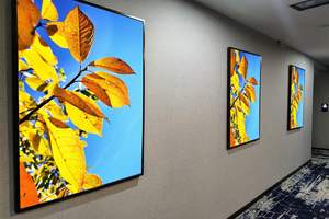 Marco Magnético de Madera de Teca, Pino y Roble para Pósteres, Venta Directa de Fábrica - Product Image 6