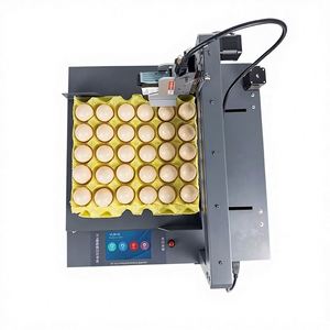Impresora Portátil Económica para Imprimir Fechas de Caducidad en Huevos, Impresora de Códigos Tij, Impresora de Número de Lote en Huevos - Product Image 1