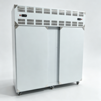 Congélateur rapide commercial automatique à plateaux enfichables -45~-80°C, porte simple, refroidissement par air, en acier inoxydable, pour fruits de mer