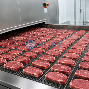 Congelatore Industriale a Tunnel KHFT per la Lavorazione degli Alimenti, Congelamento Rapido, Linea di Produzione di Alimenti Congelati - Product Image 4