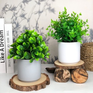 Plantes artificielles vertes en plastique de la collection Fuyu, en pot, pour la décoration intérieure du salon, du bureau et de la maison, hauteur 20 cm - Product Image 2