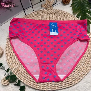 Amysi 556 #   Nouvelle collection 2026 : Ensemble de sous-vêtements pour femmes, motif floral tendance, taille haute, fin, respirant, imprimé, vente en gros - Product Image 2