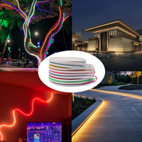 Usine Neon Flex LED Lights Strip 5M SMD 2835 Étanche Panneaux Extérieurs Corps Corde Lumière 12V Flexible Souple PVC LED Neon Lights