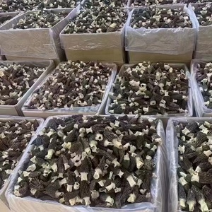 Cina all'ingrosso essiccata Morchella esculenta Yang du jun bulk funghi spugnosi secchi biologici sfusi morelli neri - Product Image 3