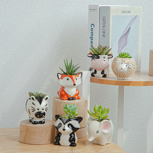 Vaso per Piante Grasse in Ceramica a Forma di Cartone Animato, Semplice e Carino, Creativo per Giardinaggio Domestico, Confezione in Cartone - Product Image 4