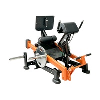 Máquina de Extensión de Cadera a 45 Grados para Uso Comercial, Silla Romana, Entrenador de Extensión de Cadera, Equipo de Gimnasio para Ejercicios de Músculos de la Espalda