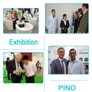 Hayvan yemi % kril yağı tozu doğal antarktik kril yemek tozu - Product Image 5