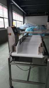 Hoge Nauwkeurigheid Voedingsmiddelenindustrie Gewichtscontrole Systeem Automatische Transportbaan Weegschalen - Product Image 2