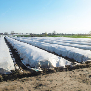 Vỏ Cây Vải Lông Cừu Không Dệt Bảo Vệ Chống Sương Giá Sinh Thái Vải Không Dệt Pp Dùng Cho Nông Nghiệp - Product Image 4