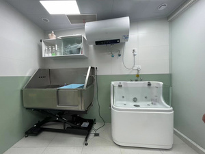 Baignoire <span class=keywords><strong>Spa</strong></span> pour Chiens et Chats en Acrylique EUR VET avec Massage par le Surf, Ozone, Lumières Colorées pour le Toilettage des Animaux de Compagnie dans la Salle de Bain - Product Image 6