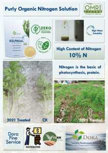 OMRI a certifié l'<span class=keywords><strong>hormone</strong></span> <span class=keywords><strong>végétale</strong></span> d'<span class=keywords><strong>auxine</strong></span> organique Engrais enzymatique liquide d'algues - Product Image 4