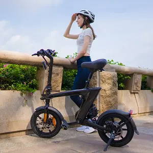 중국 OEM 후방 허브 모터 쉬운 라이더 전기 자전거 32 km/h 14 인치 도시 전기 접히는 자전거