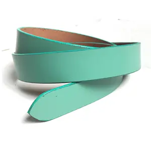 Cinturones y accesorios Cinturones de cuero de diseño elegante Cinturones de mujer con cierre de hebilla de pasador Disponible en tamaño personalizado
