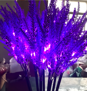 Luz decorativa estilo campo de lavandas para lugares escénicos y excursiones nocturnas fotográficas - Product Image 1