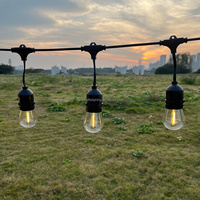 Guirlande lumineuse LED S14 10m pour extérieur, étanche, blanc chaud, dimmable, pour Noël, décoration de jardin, IP65, 220V