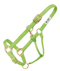Cabestro Profesional para Caballos con Correas Ajustables para Entrenamiento Ecuestre y Gestión de Establos - Product Image 1