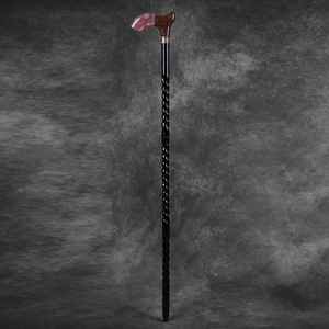 Bâton de marche léger, durable et ergonomique en résine et en bois, idéal pour la randonnée en intérieur et en extérieur - Product Image 1