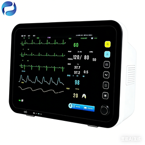 Moniteur de chevet Raytan pour chambre d'hôpital, dispositif médical vétérinaire pour surveillance obstétricale sur lit d'hôpital, certifié CE Classe II - Product Image 2
