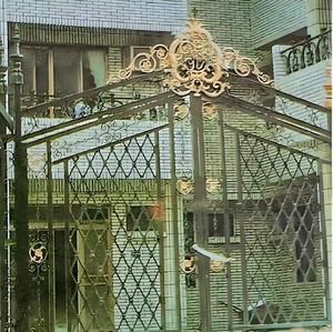 Tay giả mạo kết cấu sang trọng phong cách hiện đại sắt sân cổng tùy biến - Product Image 3