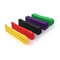 Bandas de Resistencia, Bandas de Asistencia para Dominadas - Bandas de Entrenamiento, Bandas de Ejercicio, Juego de Bandas de Resistencia Largas para Hacer Ejercicio