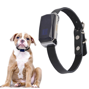 Gps belt for dogs Clearance