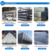 Precio de Fábrica Rejilla de Acero Galvanizado para Cubierta de Drenaje 32X5 Soldada y Cortada Estándar EN para Materiales de Construcción Metálicos para Exteriores