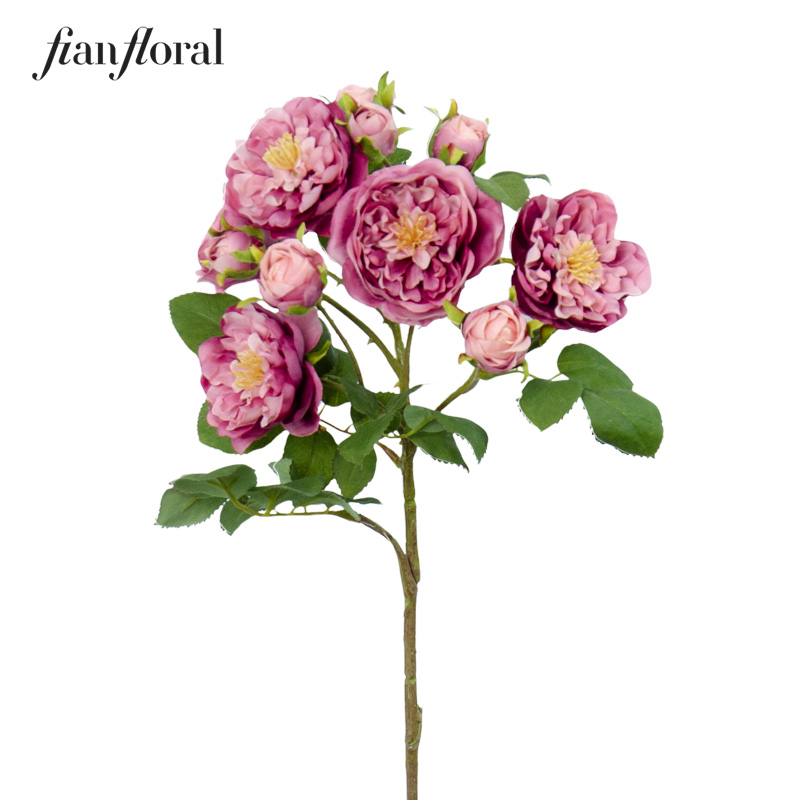 Mauve Pink