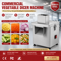 Commerciële elektrische groenten snijmachine 300W roestvrij staal automatisch snijden, schijven en raspen voor restaurant, hotel, kantine