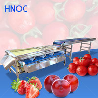 Machine de tri et de calibrage HNOC pour oranges, oignons, mini-fruits, légumes, melons et pommes