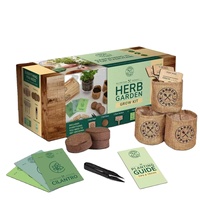 Vente en gros de kit de démarrage miniature pour jardin d'herbes d'intérieur Jardinière de style champêtre pour enfants Cadeau parfait pour la culture de plantes pour enfants