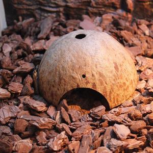 Rifugio Naturale in Guscio di Cocco, Box per Animali da Arrampicata, Paesaggista Professionale, Rifugio per Lucertole, Ragni, Tartarughe, Criceti, Granchi Eremiti - Product Image 6