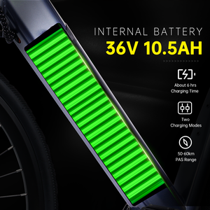 Bicicletas Eléctricas de 36V 10.5Ah 250W para Damas, Estilo Retro, OEM, Cuadro Grande de 700C, Bicicleta Eléctrica para Desplazamientos Urbanos, Precio al por Mayor - Product Image 3