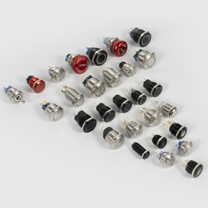Interruptor de Botón Pulsador Momentáneo de Metal de 22 mm, IP65, con LED, 12 V, Cuerpo Roscado - Product Image 6
