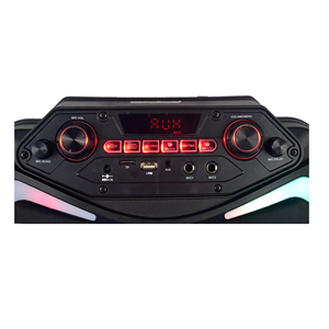 Altavoces grandes personalizados de 12 pulgadas, sistema de sonido <span class=keywords><strong>para</strong></span> dj al aire libre - Product Image 5