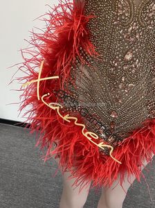 Vestido Corto Ajustado de Jersey con Aberturas y Plumas Rojas, Elegante y Sexy, con Pedrería Dorada para Mujer, Ropa de Club Nocturno - Product Image 5