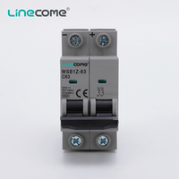 Disyuntor en miniatura de 1000V CC Montaje en riel Din de cobre MCB para uso comercial e industrial Voltaje nominal 250V