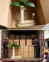 Tropische bananenblad sisal krabpaal, krabplank met massief houten voet, pluche bal met veer & hangende fruit speeltjes