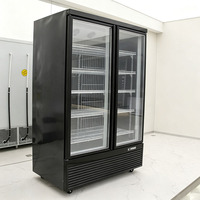 Réfrigérateur commercial vertical à double porte vitrée, haute qualité, température unique, pour supermarché, épicerie, refroidisseur de bouteilles de boissons