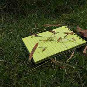 Carnet tactique imperméable en PVC - Bloc-notes spirale vert toutes saisons pour les amateurs de plein air et les professionnels - Cadeau - Product Image 4