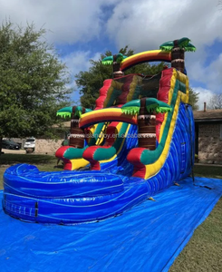 Jeux de glissades aquatiques gonflables Dolphin, équipement de parc de trampoline, glissade d'évasion, aire de jeux gonflable, château gonflable pour enfants - Product Image 2