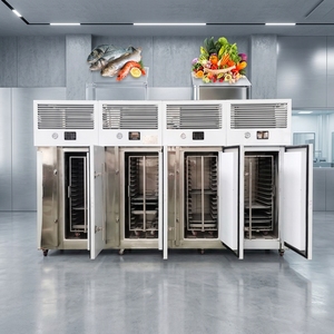 Congélateur-chiller commercial 5 plateaux en acier inoxydable 304, système conforme HACCP pour les boutiques de crème glacée, de gelato et de pâtisserie - Product Image 2